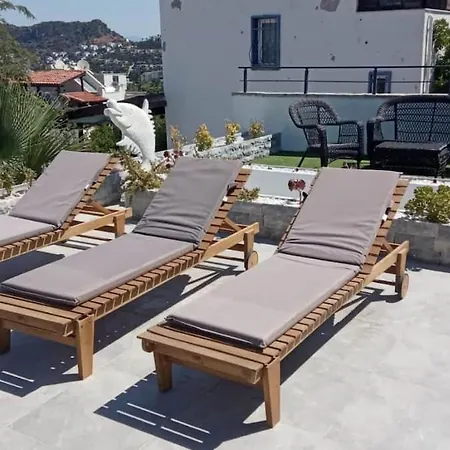 3br-villa With Private Pool, Bbq, Sea View-bodrum Yalikavak Vila